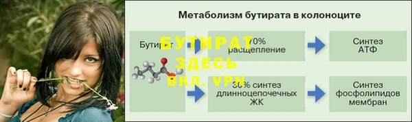 гашик Богданович